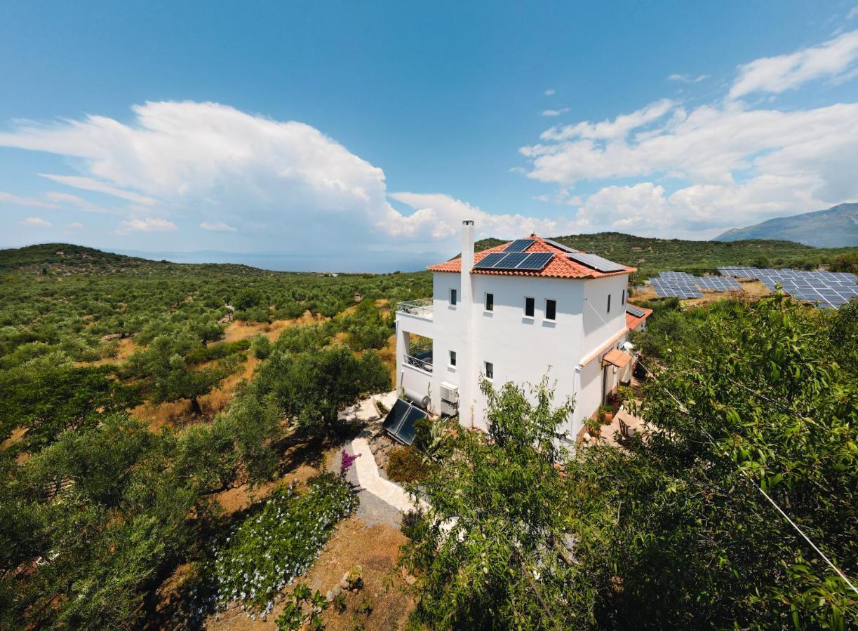 Appartement In Olive Groove House Peloponnesos Western Mani Kalianeika Exteriér fotografie