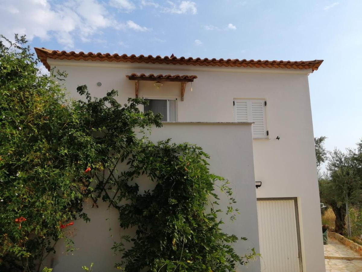 Appartement In Olive Groove House Peloponnesos Western Mani Kalianeika Exteriér fotografie