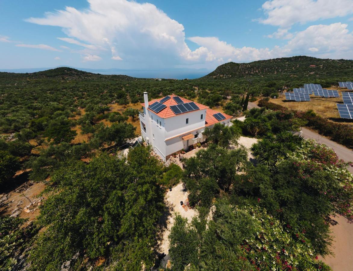 Appartement In Olive Groove House Peloponnesos Western Mani Kalianeika Exteriér fotografie