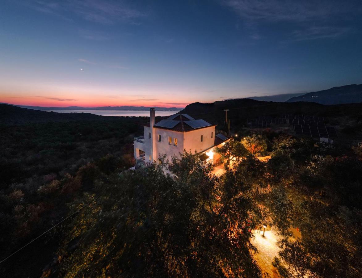 Appartement In Olive Groove House Peloponnesos Western Mani Kalianeika Exteriér fotografie
