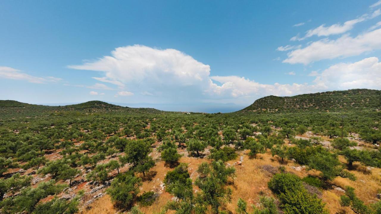 Appartement In Olive Groove House Peloponnesos Western Mani Kalianeika Exteriér fotografie